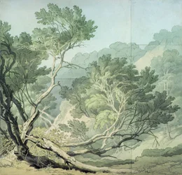 Ansicht in der Nähe von Fordlands, Exeter